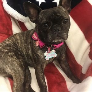 Free gift with EVERY PURCHASE!